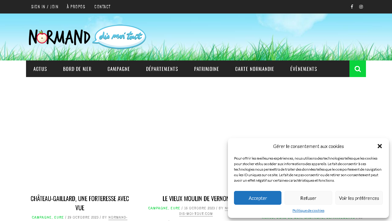 Capture d'écran de http://www.normand-dis-moi-tout.com